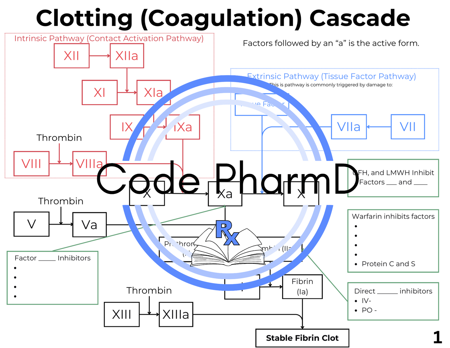 Anticoagulants and Blood Disorders Medication Workbook